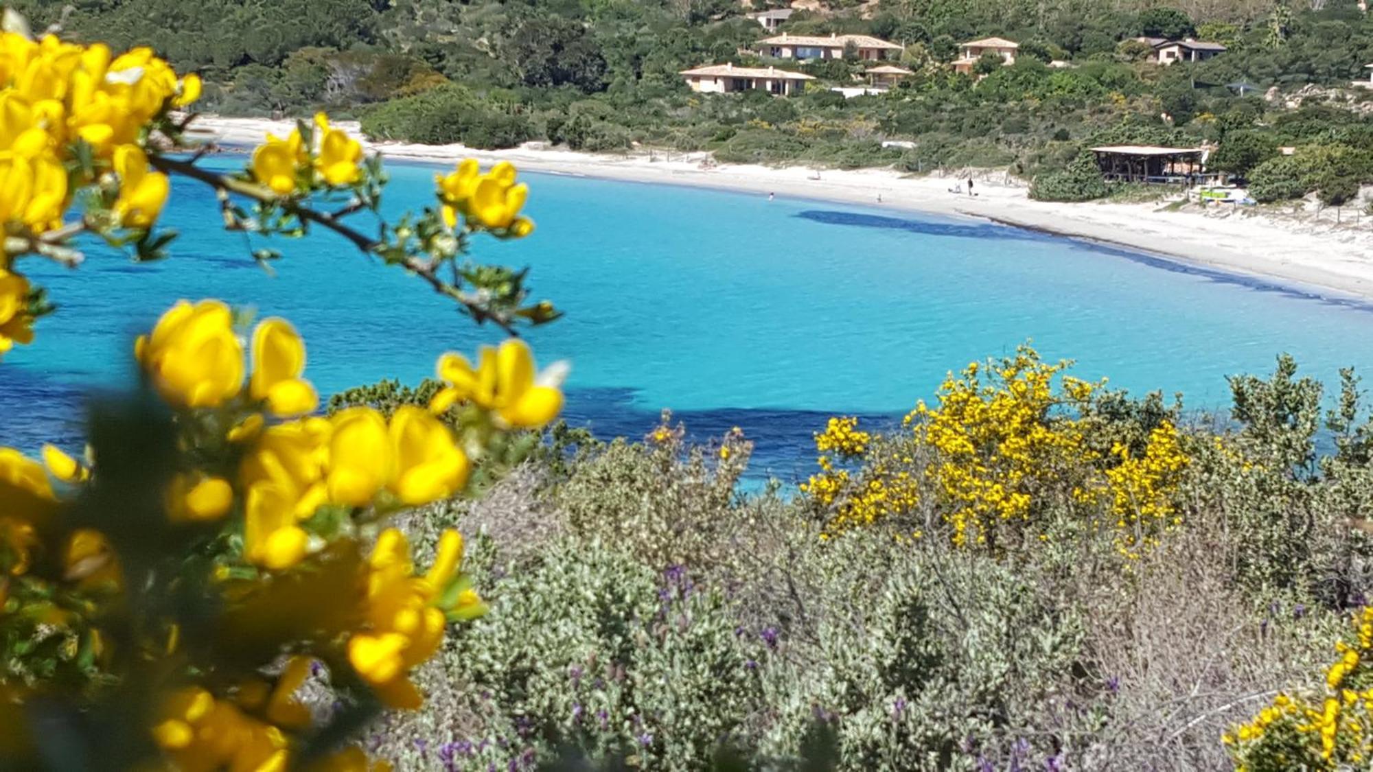 Locations Residence Rocca Rossa Palombaggia Classees 3 Etoiles Порто-Векио Екстериор снимка